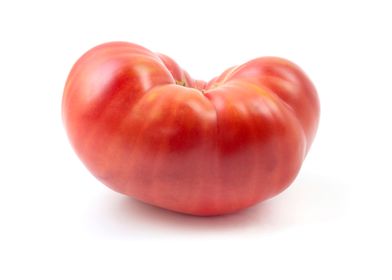 Beefsteak tomato