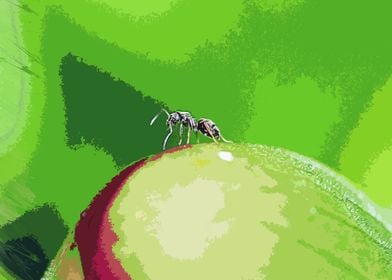 ant