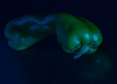 Green Pepper 