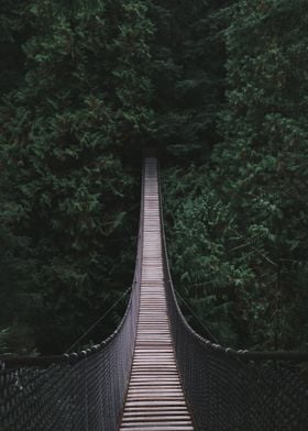 Suspension Bridge Forest