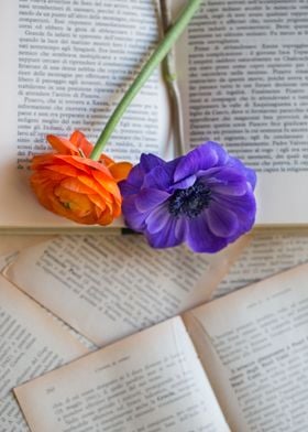 Two flowers on pages