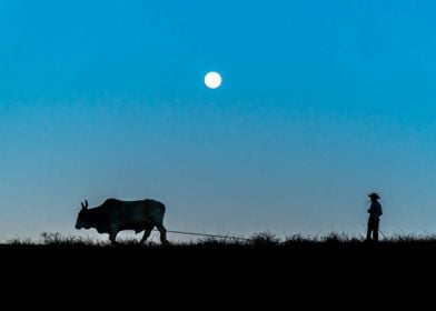 Rural cowboy