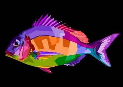 colorful fish