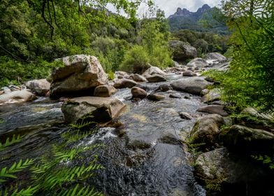 Small stream