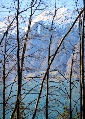 Lake Brienz