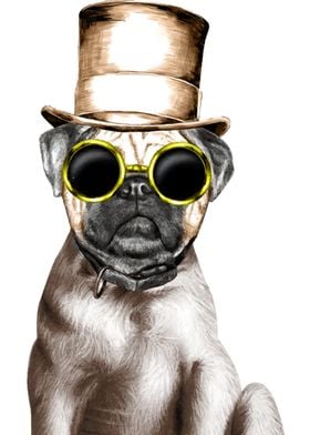 Steam Pug