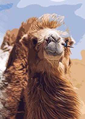 camel is Camel