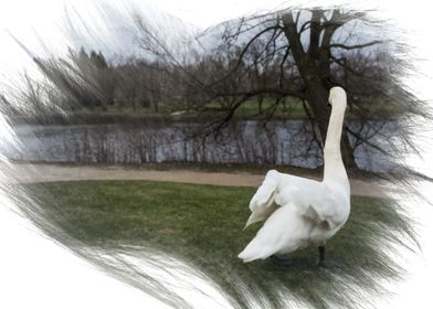 Swan Overview Brush