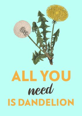 All you need is Dandelion