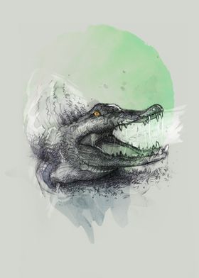 Shouting Crocodile 