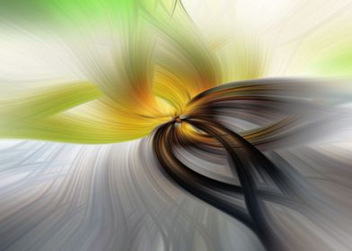 Butterfly twirl abstract