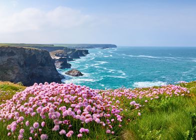 Spring on Cornwalls coast