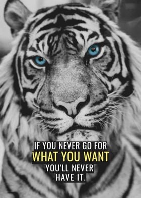 Go for what you Want