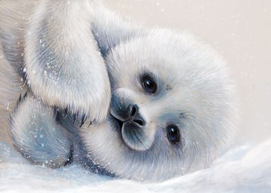 Baby fur seal 
