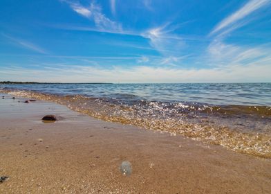 Beach at the swedisch sea