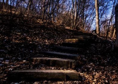 Nature Trail