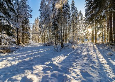 Two paths in the snow