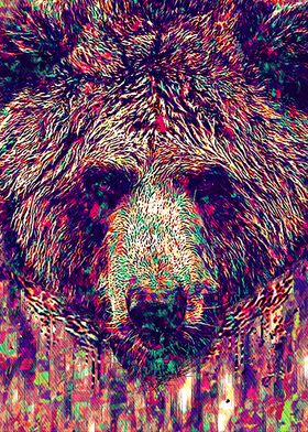 bear popart