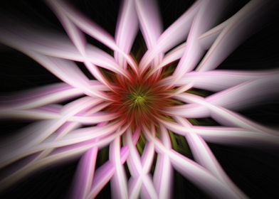 Pink flower abstract 2