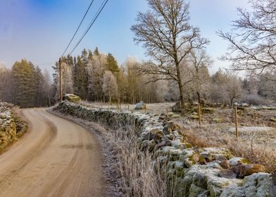 Small path in winter