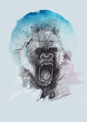 Expressive Ape