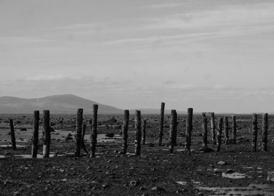 Beach Poles