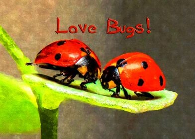 Cute Love Bugs