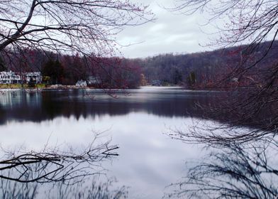 Lake Life