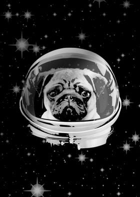 Pug Astronaut