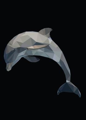 dolphin