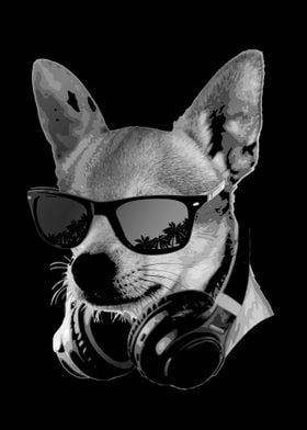 DJ Chihuahua