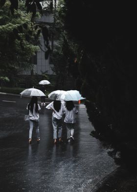 Three in the Rain