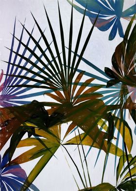 Tropical Foliage