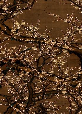 White Plum Blossom