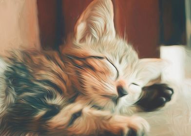 Sleeping Kitten