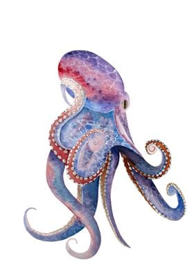 Watercolor Octopus