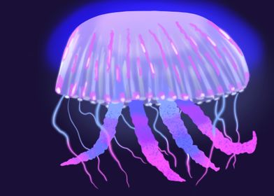 Jellyfish 