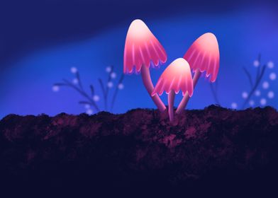 Mushrooms 