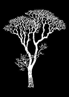 Black and white tree