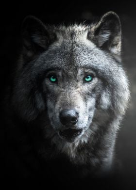 Magical wolf art