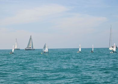 Sail boats 2