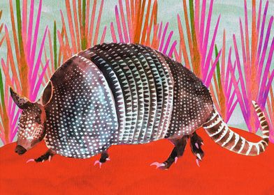 Merry Armadillo