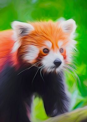 Red Panda