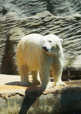 Polar Bear