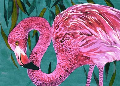 Pink flamingo