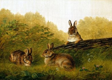 Rabbits on a Log