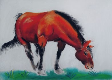 horse in dry pastel