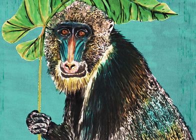 Mandrill Monkey Metal Poster Print Nicola Yarrow Displate