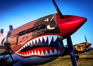 Shark painting on aircraft