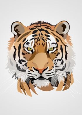 Tiger Illustration